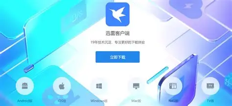 迅雷电脑端功能